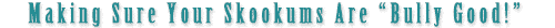 Determining Age of Skookum Dolls